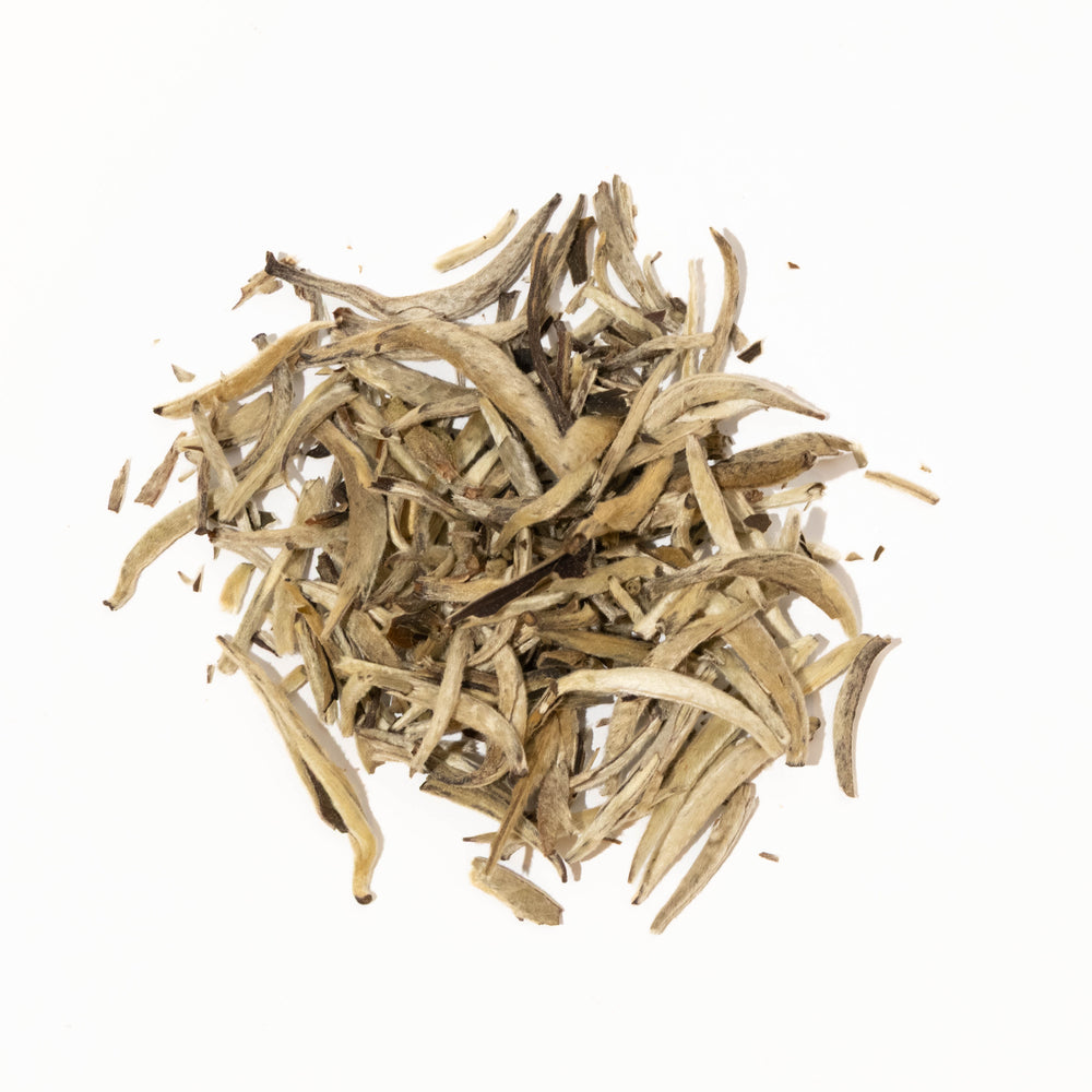 Jasmine Silver Needle