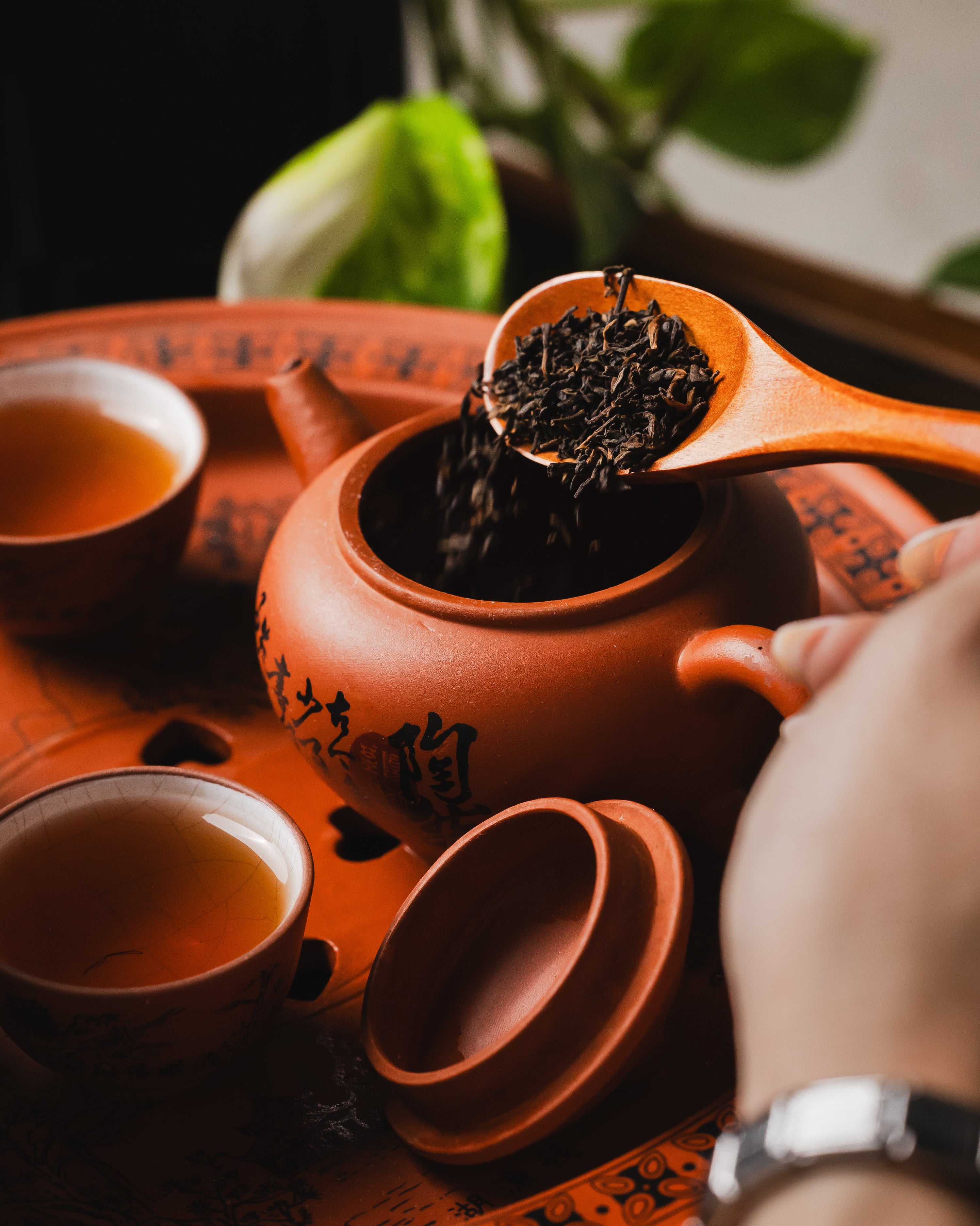 Shou Pu-erh