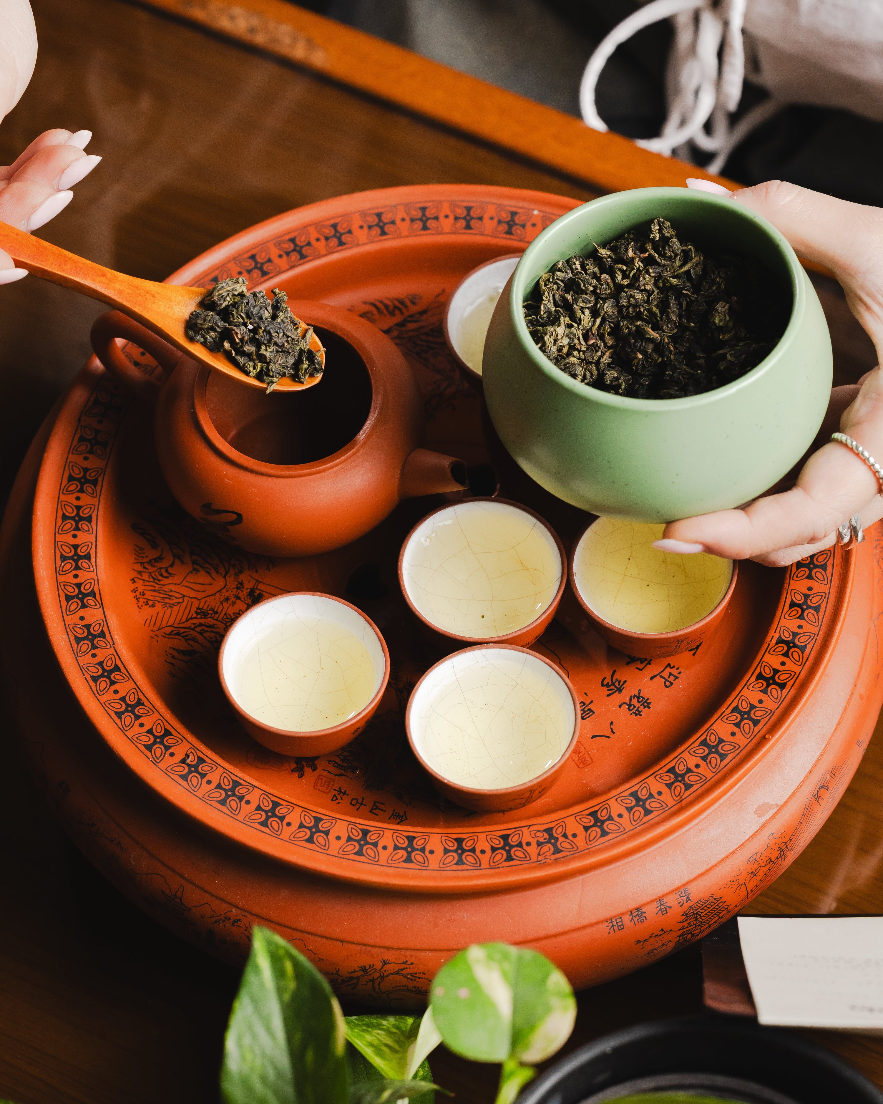 Tie Guan Yin